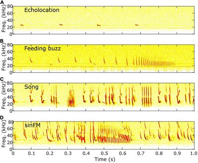 Sing or Jam? Density-Dependent Food Competition Strategies in Mexican Free-Tailed Bats (Tadarida brasiliensis)
